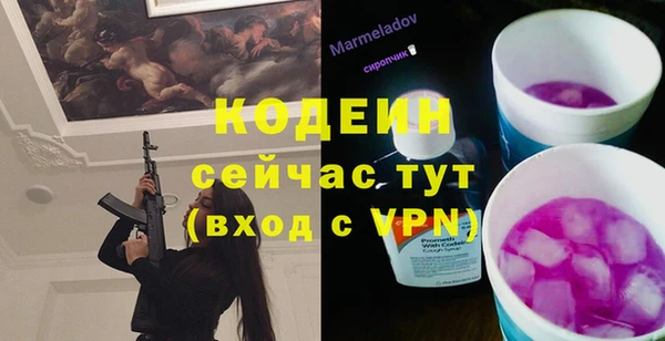 индика Балабаново
