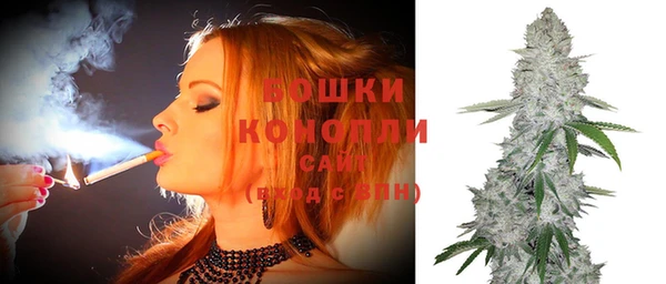 индика Балабаново
