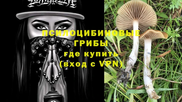 стафф Балахна